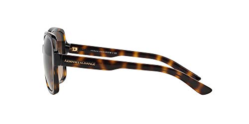 Armani Exchange Women's Oval Sunglasses, Tortoise/Brown Gradient