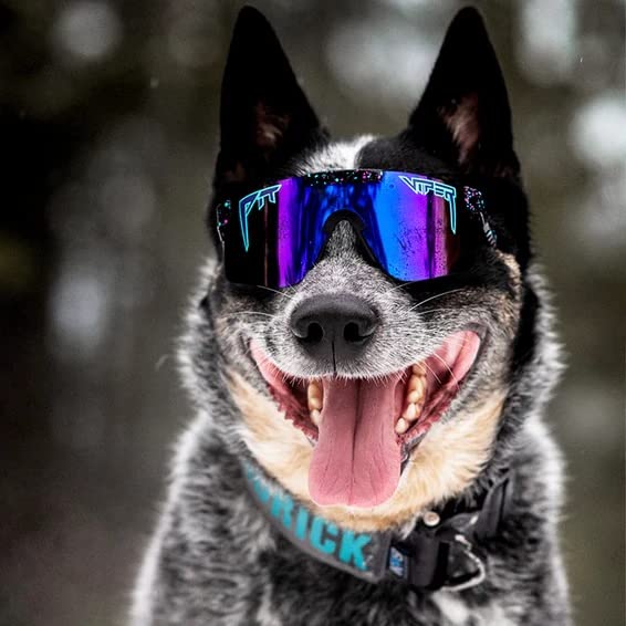 Pit Viper Midnight Polarized Blue-Purple Sunglasses, Narrow Fit
