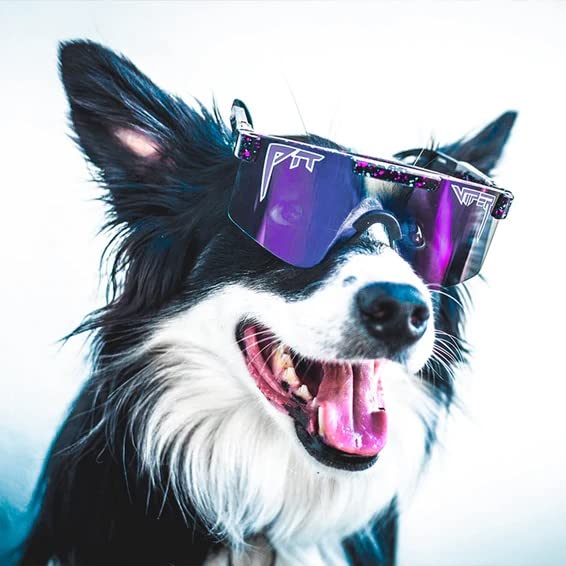 Pit Viper Midnight Polarized Blue-Purple Sunglasses, Narrow Fit