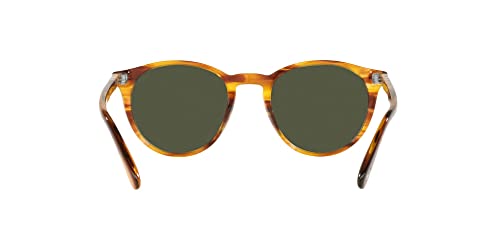 Striped Brown/Green Round Sunglasses, Persol PO3152S, 52mm