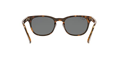 Ray-Ban Light Havana Polarized Wayfarer Sunglasses 49mm