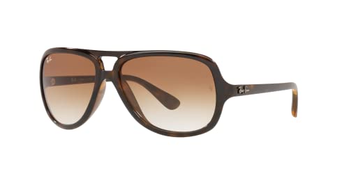 Ray-Ban Tortoise Frame Sunglasses with Brown Lenses