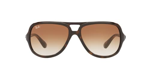 Ray-Ban Tortoise Frame Sunglasses with Brown Lenses