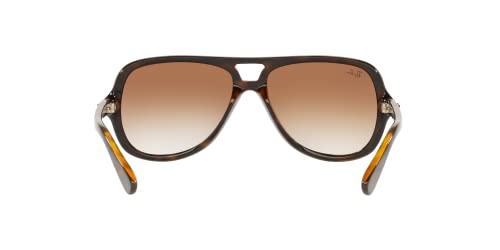 Ray-Ban Tortoise Frame Sunglasses with Brown Lenses