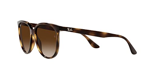 RB4378 Square Sunglasses for Women in Havana/Brown Gradient