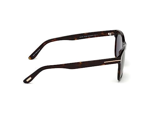 Tom Ford Eric Sunglasses in Dark Havana/Green Lens