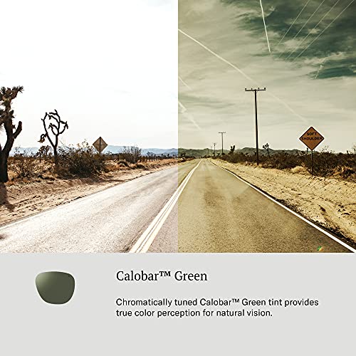 AO Sunglasses Matte Silver  with Calobar Green Lenses