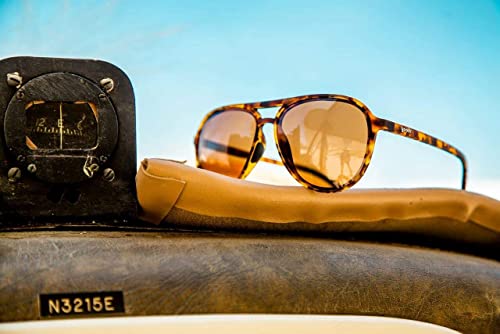 Amelia Earhart Ghosted Me Polarized Sunglasses - Men's