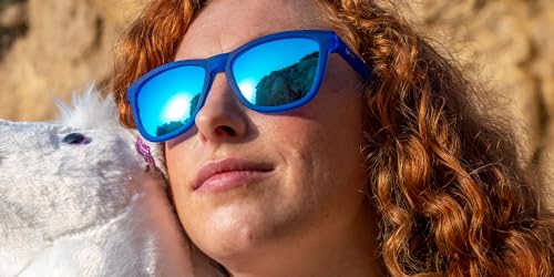 Blue Goodr Falkor's Fever Dream Sunglasses