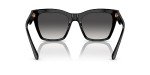 D&G Women's Round Black/Grey Gradient Sunglasses, One Size