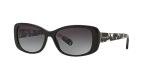 COACH Sunglasses HC 8168 534811 Black
