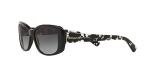 COACH Sunglasses HC 8168 534811 Black
