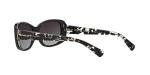 COACH Sunglasses HC 8168 534811 Black