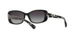 COACH Sunglasses HC 8168 534811 Black