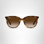RB4378 Square Sunglasses for Women in Havana/Brown Gradient