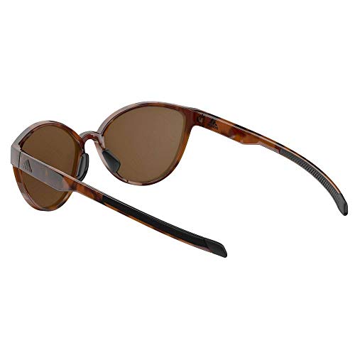 Adidas Tempest Sunglasses 2018 Brown Havanna Frame/Brown Lens