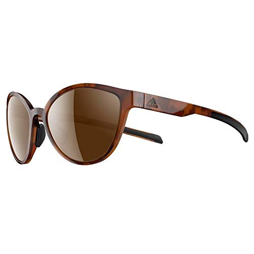 Adidas Tempest Sunglasses 2018 Brown Havanna Frame/Brown Lens
