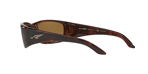 Arnette Quick Draw Havana Sunglasses, Polarized