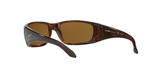 Arnette Quick Draw Havana Sunglasses, Polarized