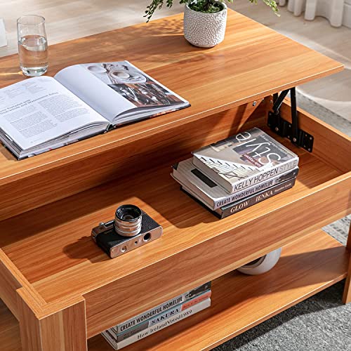 Modern Wooden Coffee Table with Hidden Storage, Beach Style