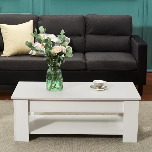 Modern White Lift Top Coffee Table with Hidden Storage