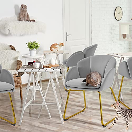 Yaheetech Velvet Tub Chair Vanity Chair, Modern Accent Armchair Lounge Chair Single Sofa with Golden Mental Legs for Living Room/Bedroom, Gray