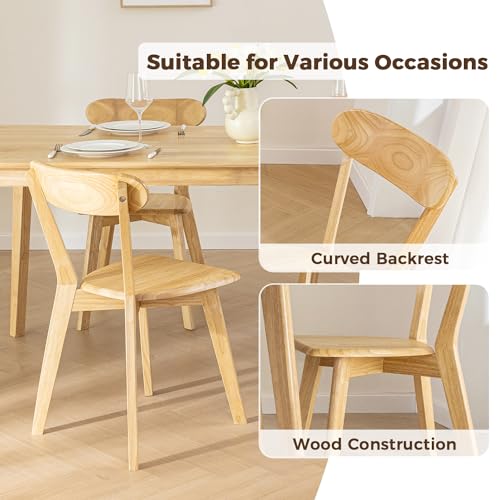 DELAVIN Soild Wood Dining Chairs Set of 2, Oak Wood Kitchen Chairs, Mid Century Modern Dining Room Chairs, Natural