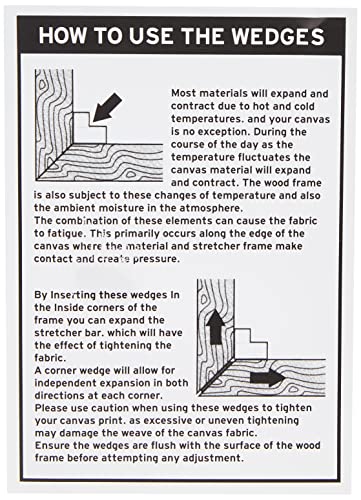 Sam Toft WDC12008 Perfect Day Canvas Print, Multi Coloured, 30 x 40cm