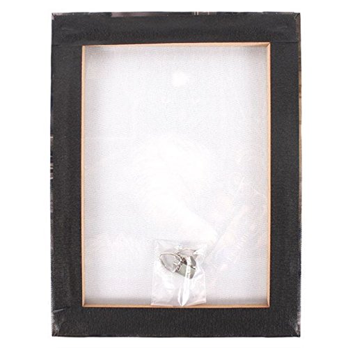 Trouble and Squeak - Cat Canvas Plaque - 25cm x 19cm - By Lisa Parker