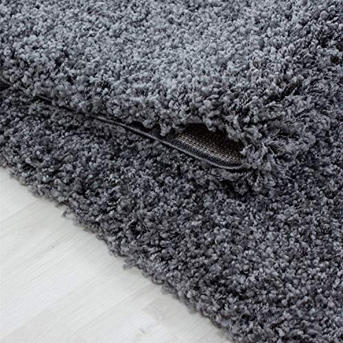 Abaseen Small Large Shaggy Rug Modern Rugs Living Room Extra Large Small Medium Rectangular Size Soft Touch Thick Pile Living Room Area Rugs Non Shedding (Dark Grey, 60x110 cm)