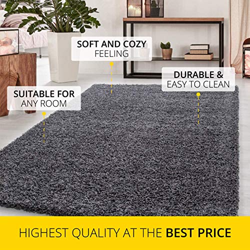 Abaseen Small Large Shaggy Rug Modern Rugs Living Room Extra Large Small Medium Rectangular Size Soft Touch Thick Pile Living Room Area Rugs Non Shedding (Dark Grey, 60x110 cm)