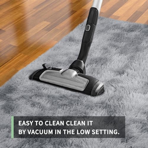 Sour Lemon Rugs Living Room 200x300cm, Grey Area Rugs for Bedroom, Washable Anti Slip Extra Large Shaggy Soft Rug Fluffy Modern Floor Carpets Mat Beside Rugs for Kids Living Room