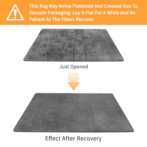 Sour Lemon Soft Rugs Living Room, Faux Rabbit Fur Rug Grey Area Rugs for Bedroom Rug, Luxury Anti Slip Rug Large Smooth Floor Carpet Short Pile Area Rug for Living Room, Bedroom, Kids Room 200X300CM