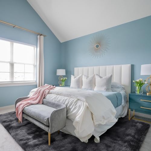 SOANNY Living Room Rug, Bedside Rug Soft Fluffy Lounge Rugs For Living Room Bedroom Dorm Nursery Kids Room, Luxury Tie-dyed Shag Throw Area Rug Decor Carpet, Dark Grey, 90x150 cm