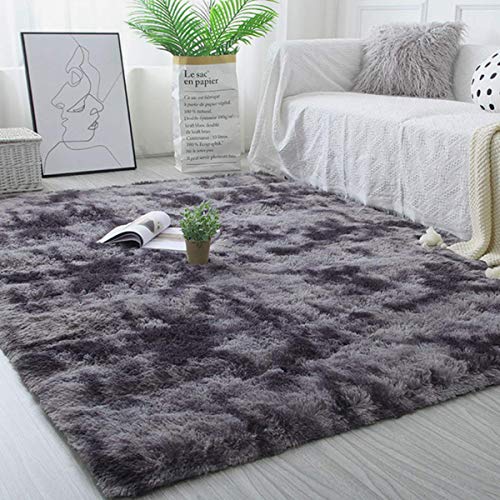 Tinyboy-hbq Area Rugs Living Room Bedroom Rug Soft Carpet Anti Slip Fluffy Large Rugs Shaggy Indoor Nursery Kids Rug Mat Soft Floor Mat Furry Plush Rug for Home Decor(Black gray, 80 * 120cm)
