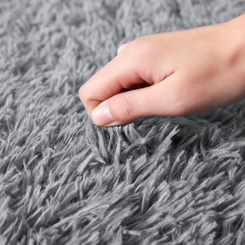AMEHA Rugs Living Room - Grey Area Rugs for Bedroom Non-Slip - Modern Super Soft Fluffy Shaggy Thick Pile Small Rug Non-Shedding, 50cm x 80cm