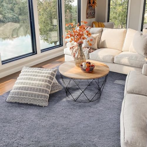 FVVRAX Area Rugs Living Room Rug, Soft Fluffy Shaggy Bedroom Rug Floor Carpet with Durable Anti-slip Backing, Carpets for Kids Girls Dorm Nursery Bedside Rug, 92x153cm, Grey