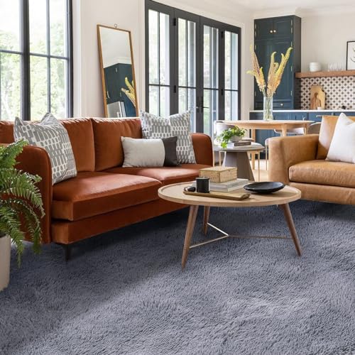 FVVRAX Area Rugs Living Room Rug, Soft Fluffy Shaggy Bedroom Rug Floor Carpet with Durable Anti-slip Backing, Carpets for Kids Girls Dorm Nursery Bedside Rug, 92x153cm, Grey