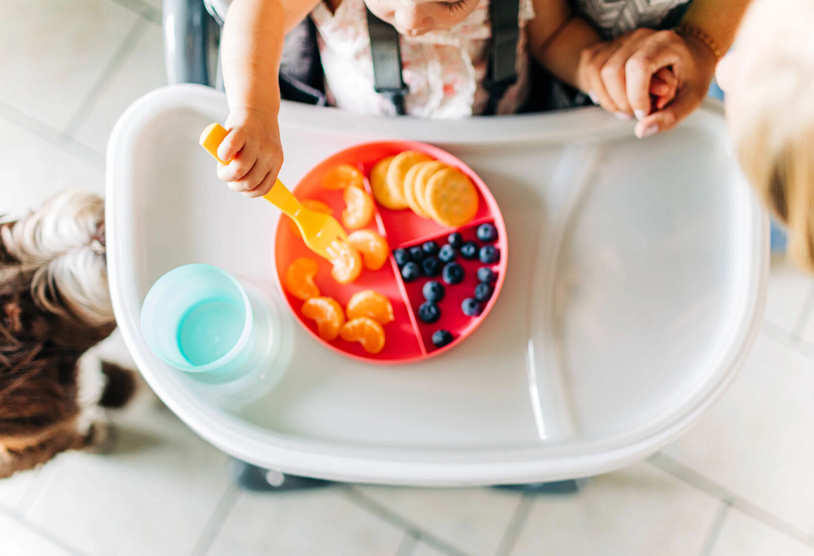 Safety 1ˢᵗ 3-in-1 Grow and Go High Chair, Monolith