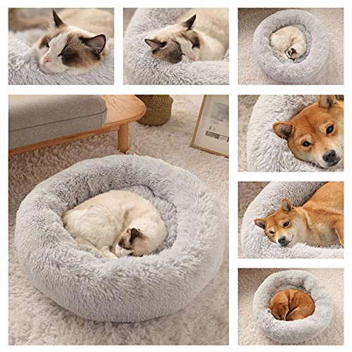 Kimpets Calming Dog Bed for Small to Large Dogs