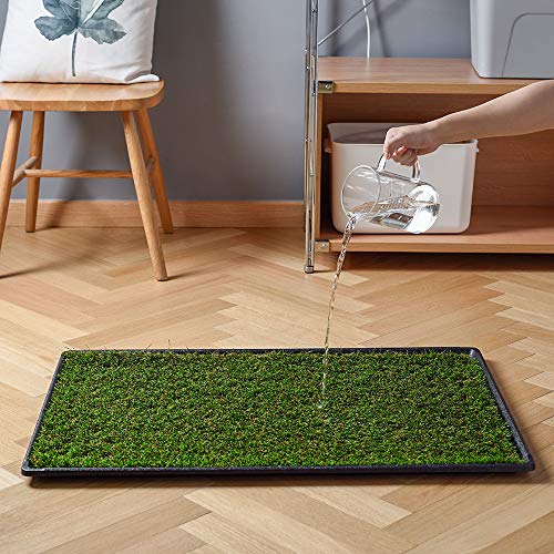 Large Dog Grass Pad with Tray, Artificial Turf