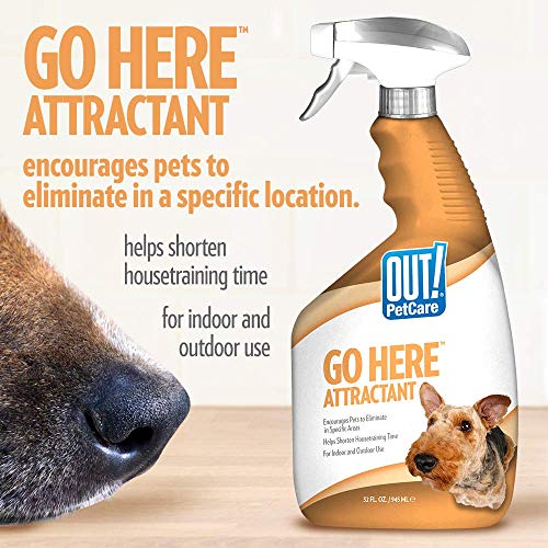 OUT! PetCare Go Here Attractant Dog Training Spray