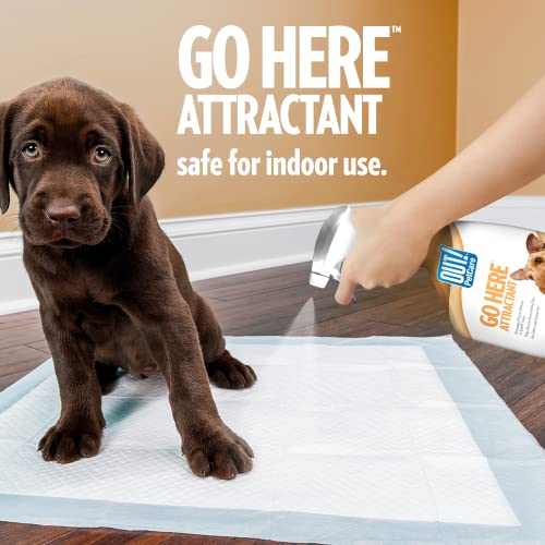 OUT! PetCare Go Here Attractant Dog Training Spray