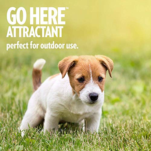 OUT! PetCare Go Here Attractant Dog Training Spray