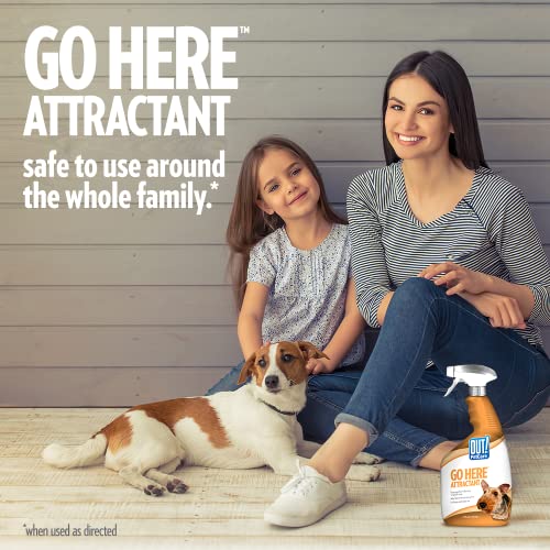 OUT! PetCare Go Here Attractant Dog Training Spray