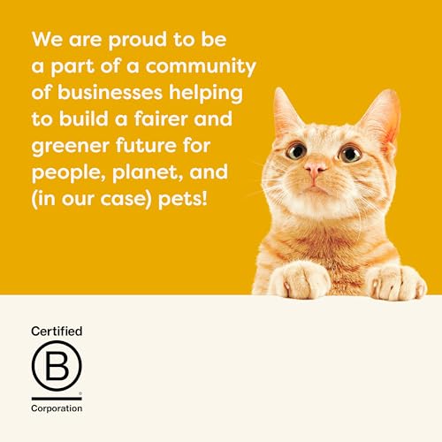 Applaws Grain-Free Dry Cat Food, Chicken Recipe