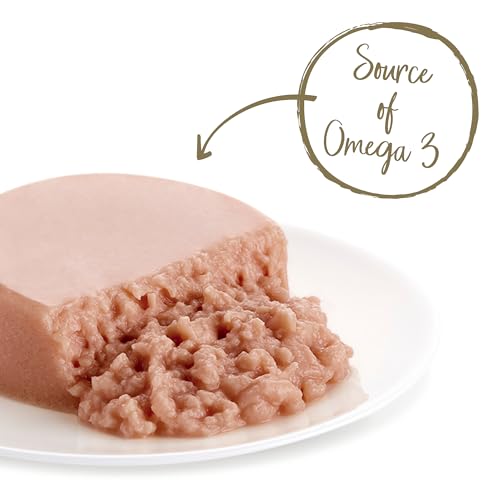 Applaws Ocean Fish Mousse Cat Food, 24 Cans