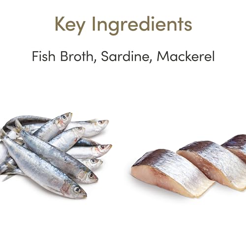 Applaws Ocean Fish Mousse Cat Food, 24 Cans