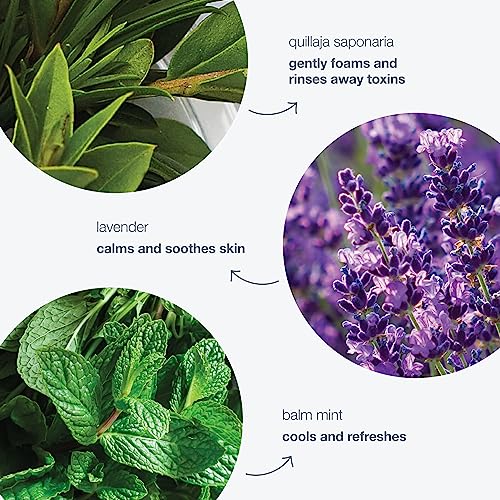 Dermalogica Special Cleansing Gel - Gentle Face Wash