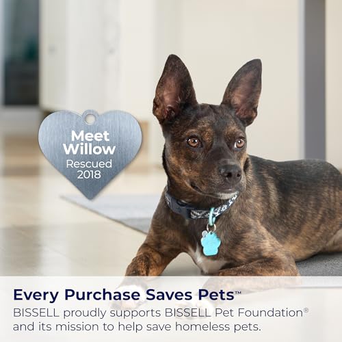 BISSELL Little Green Portable Carpet Cleaner for RVs